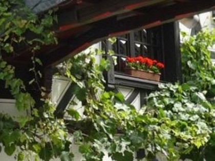 照片: Brunnenklause